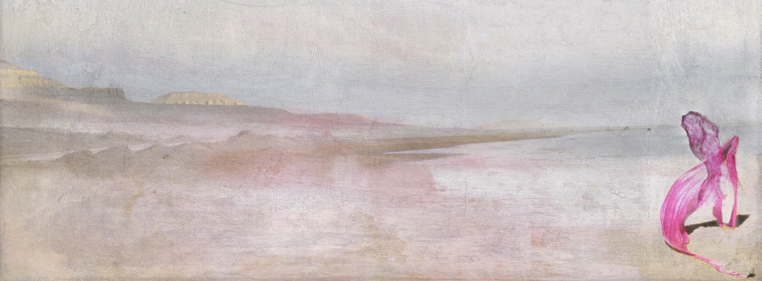 Nermine Hammam, Anachrony 05, 2010. Digital collage, mixed media