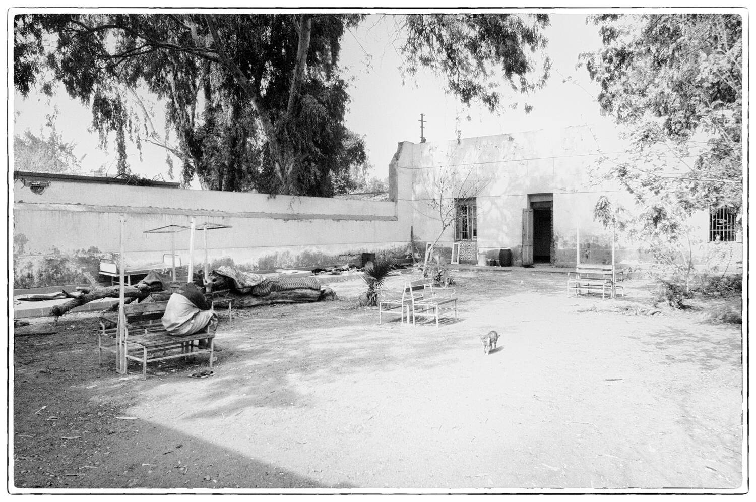 Nermine Hammam, Metanoia 16, 2009. Photography