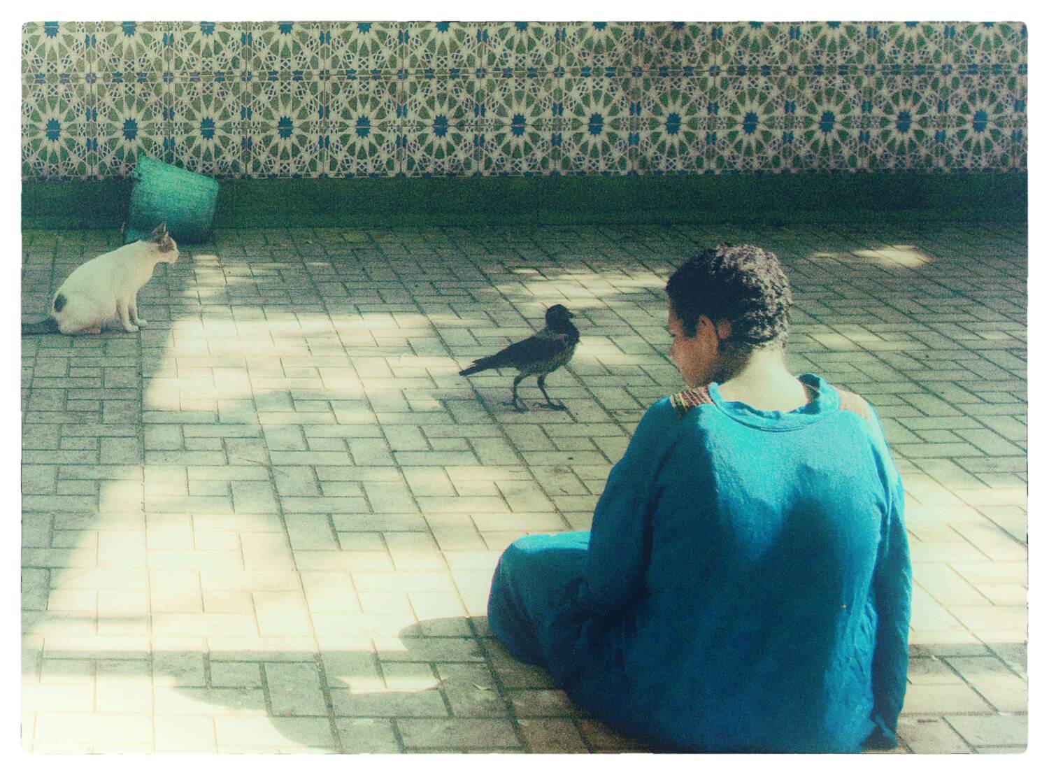 Nermine Hammam, Metanoia 27, 2009. Photography