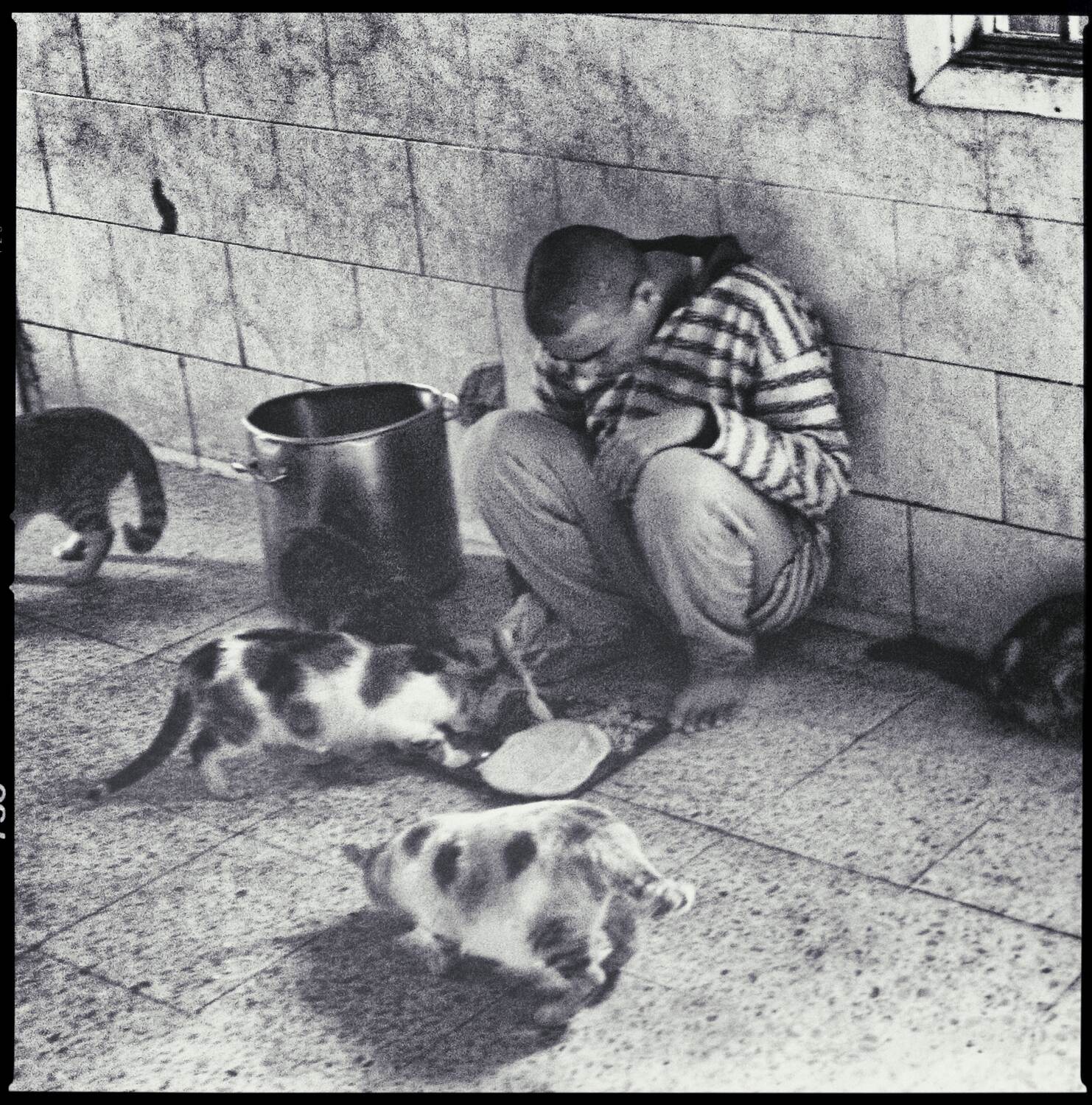 Nermine Hammam, Metanoia 49, 2009. Photography