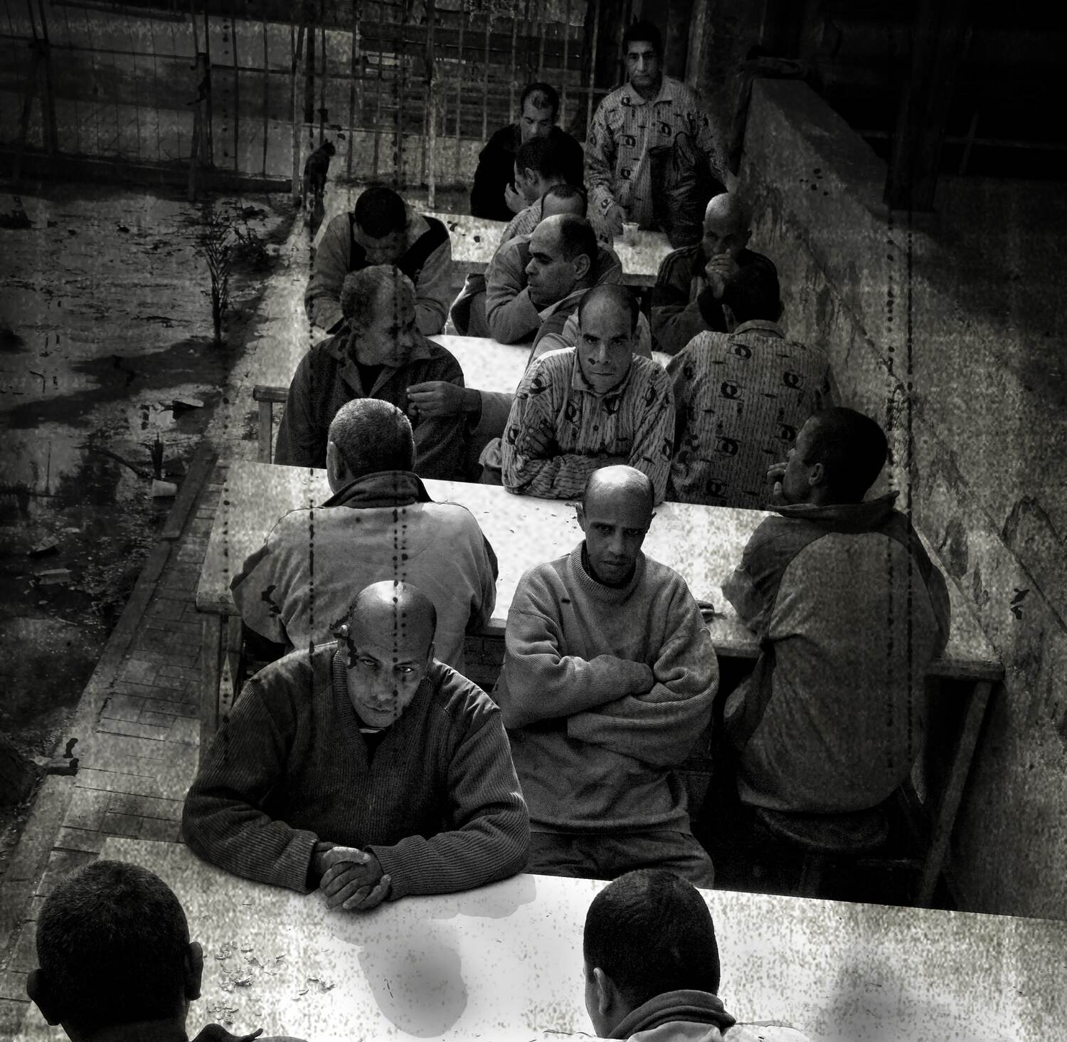 Nermine Hammam, Metanoia 51, 2009. Photography