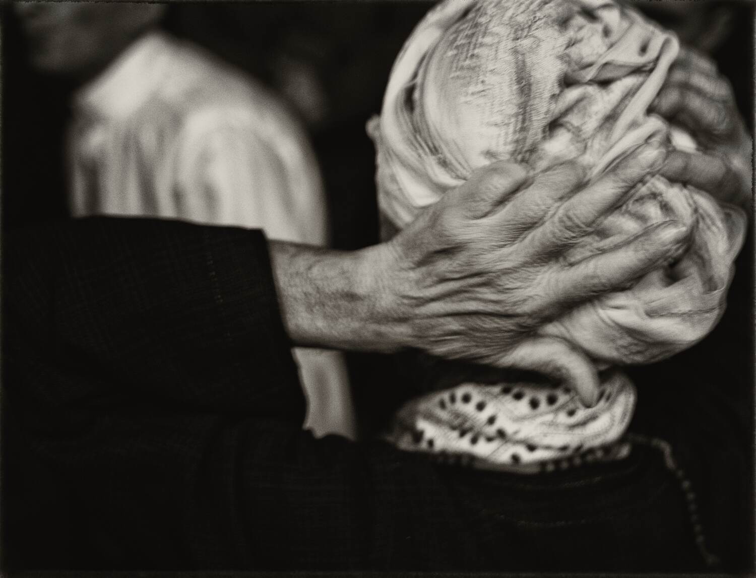 Nermine Hammam, Plasma Lymph, 2024. Photography, digital collage, mixed media